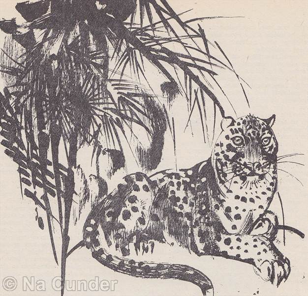 Leopardica