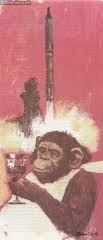 Šimpanz z Mysu Canaveral